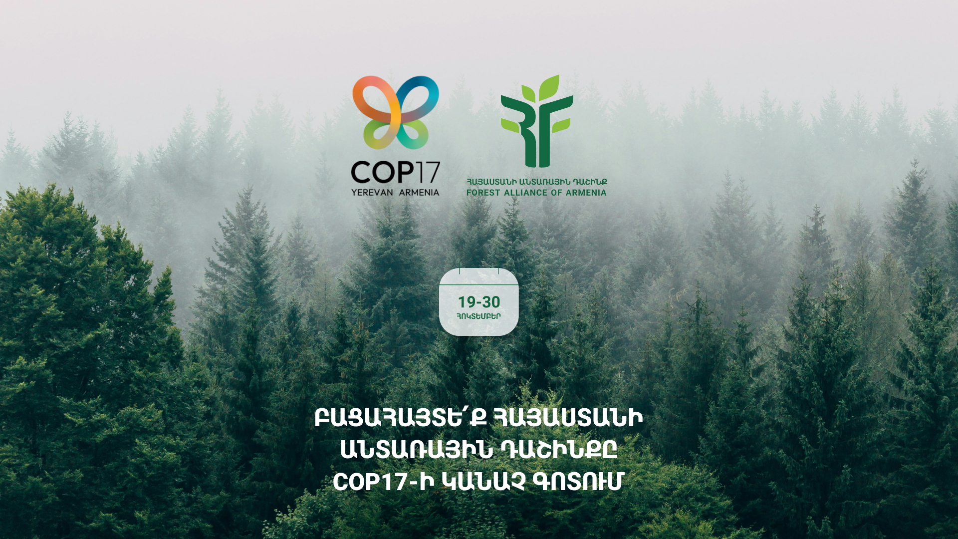 Armenia's Forest Alliance at COP17